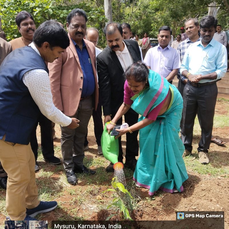 Plantation Programme